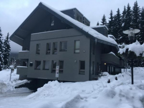 Apartman Harrachov